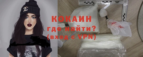 spice Болотное