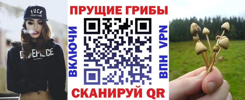 Купить закладки  Калязин  Галлюциногенные грибы MAGIC MUSHROOMS 